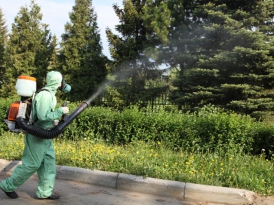 Уничтожение комаров в Наро-Фоминске